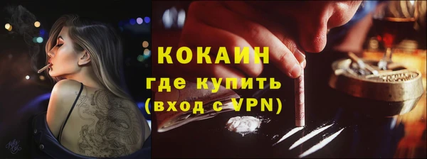 индика Бикин