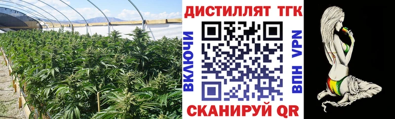 Дистиллят ТГК концентрат  Сорочинск 
