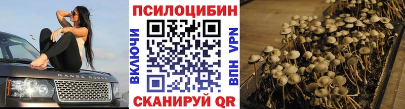Псилоцибиновые грибы MAGIC MUSHROOMS  Сорочинск 