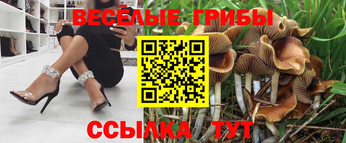 Сорочинск  Псилоцибиновые грибы Psilocybine cubensis  Вход с VPN  цена   Галлюциногенные грибы прущие грибы 